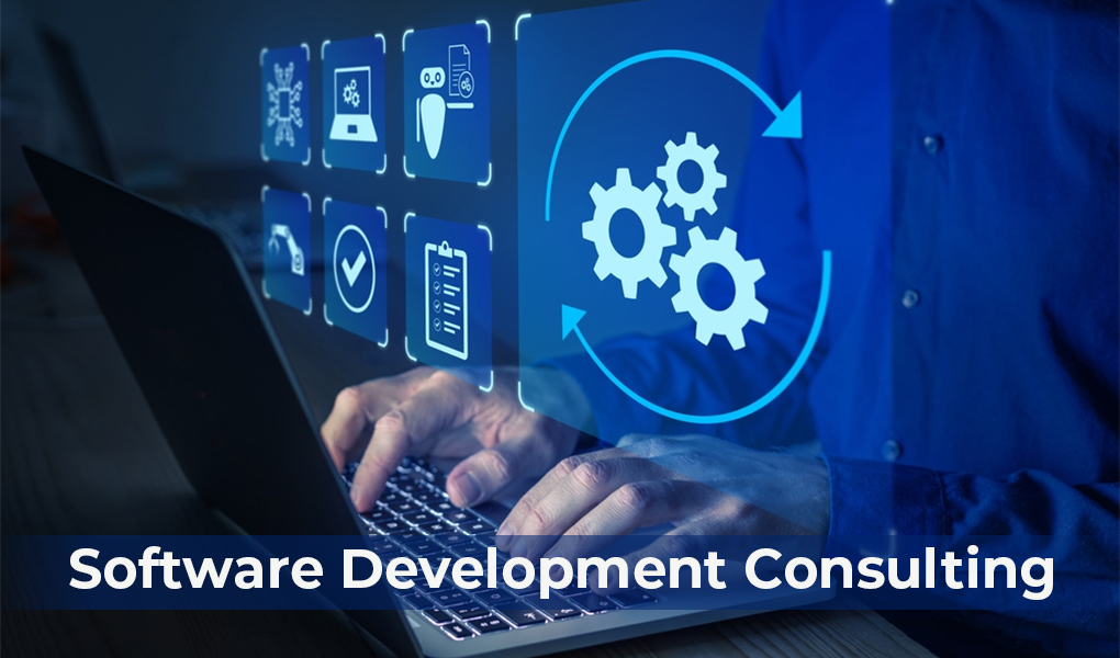 Transform Your Business With Expert Software Consulting